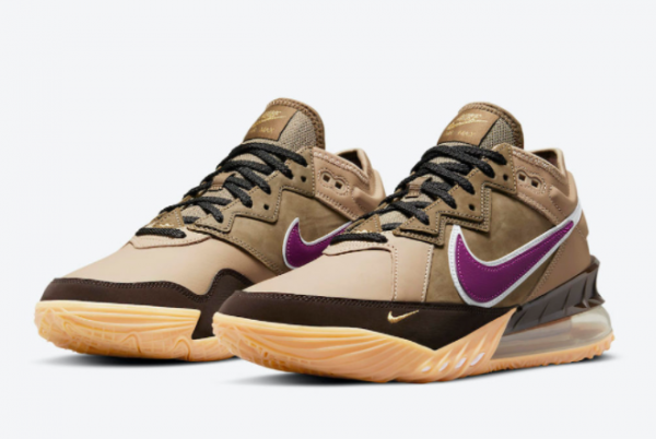 2021 atmos x Nike LeBron 18 Low Viotech CW3153-200 Basketball Shoes-1
