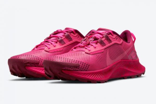 New Nike Pegasus Trail 3 Archaeo Pink 2021 For Sale DM9468-600-2
