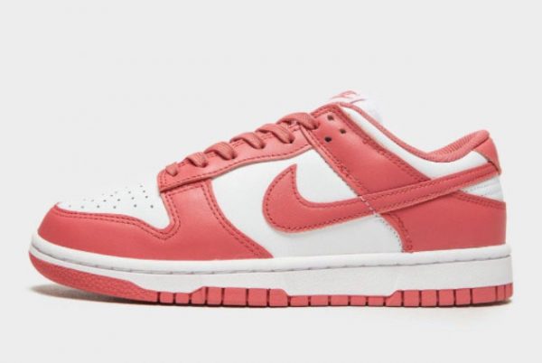 Cheap Nike Dunk Low Archeo Pink White Archeo Pink 2021 For Sale DD1503-111
