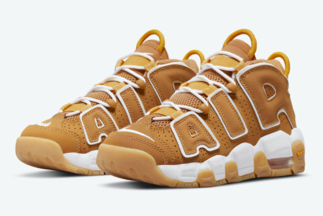 700 - Latest Nike Air More Uptempo GS 