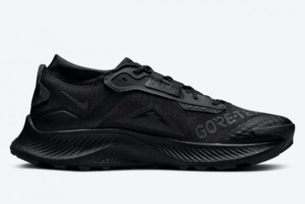 Latest Nike Pegasus Trail 3 Gore-Tex Black/Black-Black 2021 For Sale DC8793-001-1