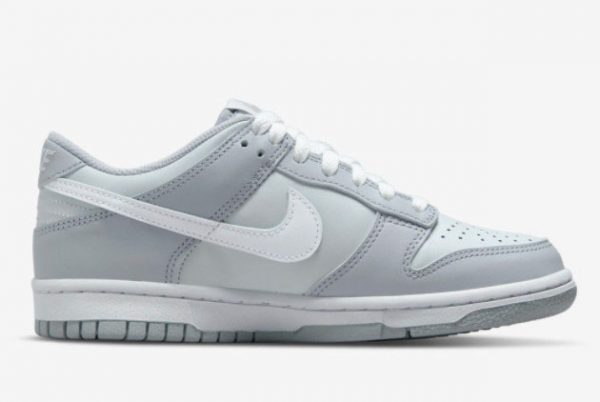 New Nike Dunk Low GS Grey 2021 For Sale DH9765-001-1