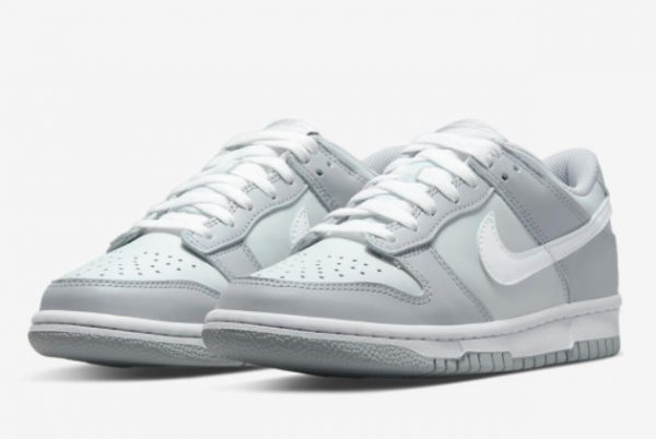 New Nike Dunk Low GS Grey 2021 For Sale DH9765-001-2
