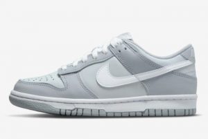 New Nike Dunk Low GS Grey 2021 For Sale DH9765-001