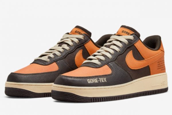 Latest Nike Air Force 1 Gore-Tex Shattered Backboard 2021 For Sale DO2760-220-2