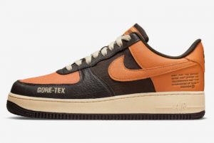 Latest Nike Air Force 1 Gore-Tex Shattered Backboard 2021 For Sale DO2760-220