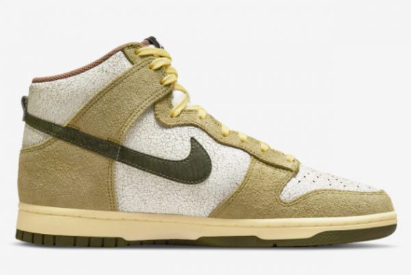 New Nike Dunk High Re-Raw Coriander Summit White-Sail 2022 For Sale DO6713-300-1