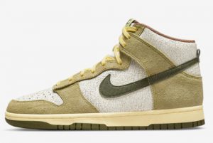New Nike boys Dunk High Re-Raw Coriander Summit White-Sail 2022 For Sale DO6713-300