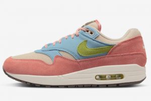 Cheap Nike Air Max 1 Light Madder Root Light Madder Root Unpicturesque Green-Rattan 2022 For Sale DV3196-800